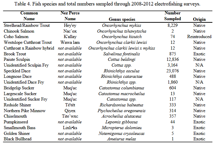 Wildfire Restoration