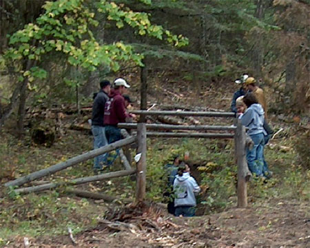 Group of students by soil pit