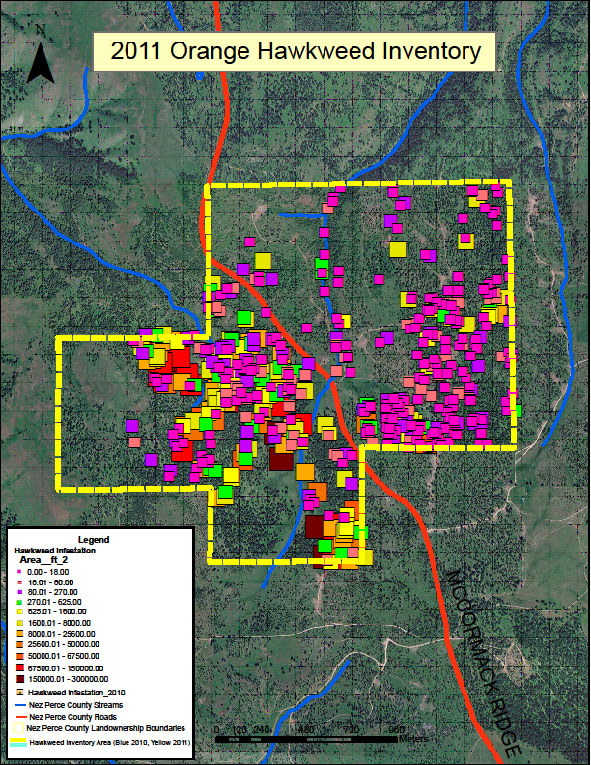 2011 Orange Hawkweed Inventory