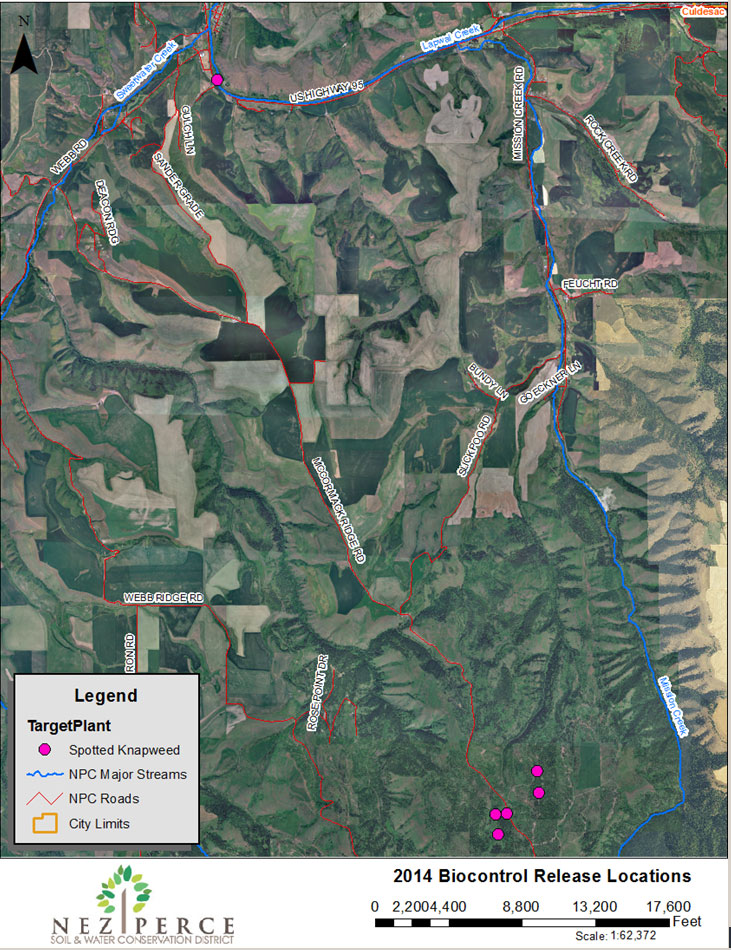 2014 Spotted Knapweed Target Map