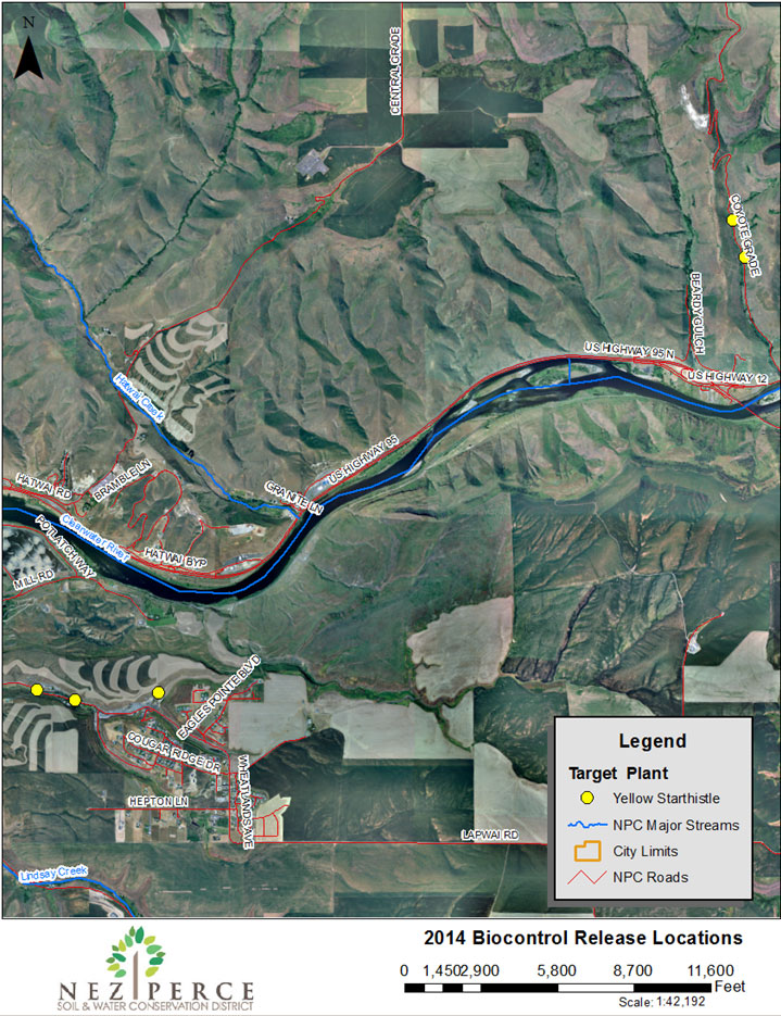 2014 Yellow Starthistle Target Map