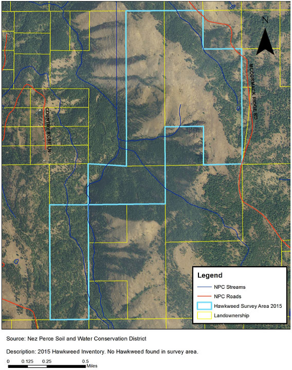 2015 Hawkweed Map