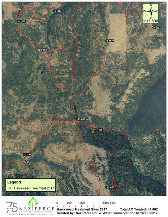 2017 Hawkweed Map