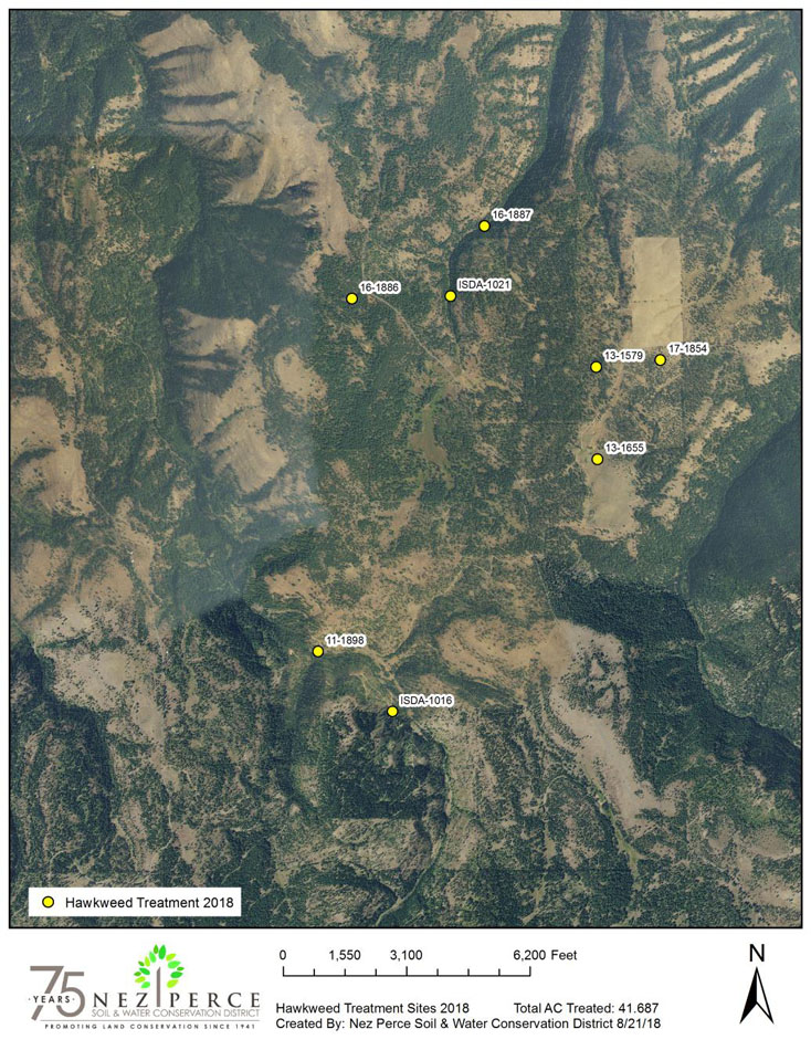 2018 Hawkweed Map