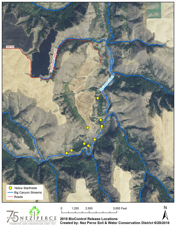 2018 Yellow Starthistle Target Map