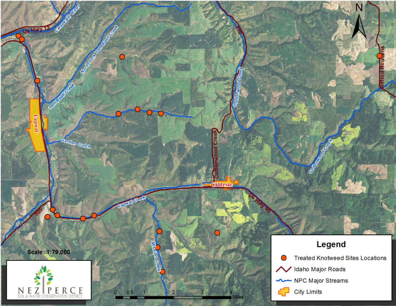 Knotweed Map 2014