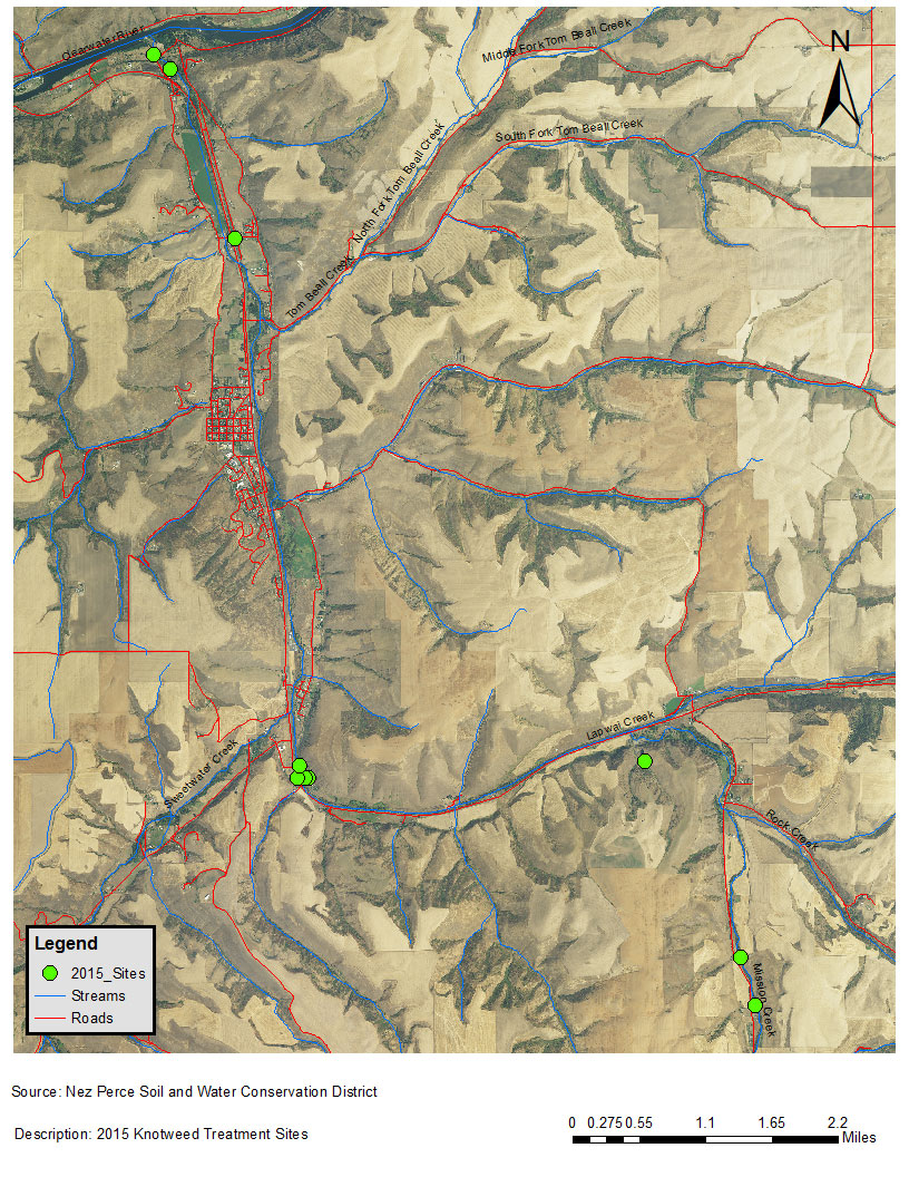 Knotweed Map 2015