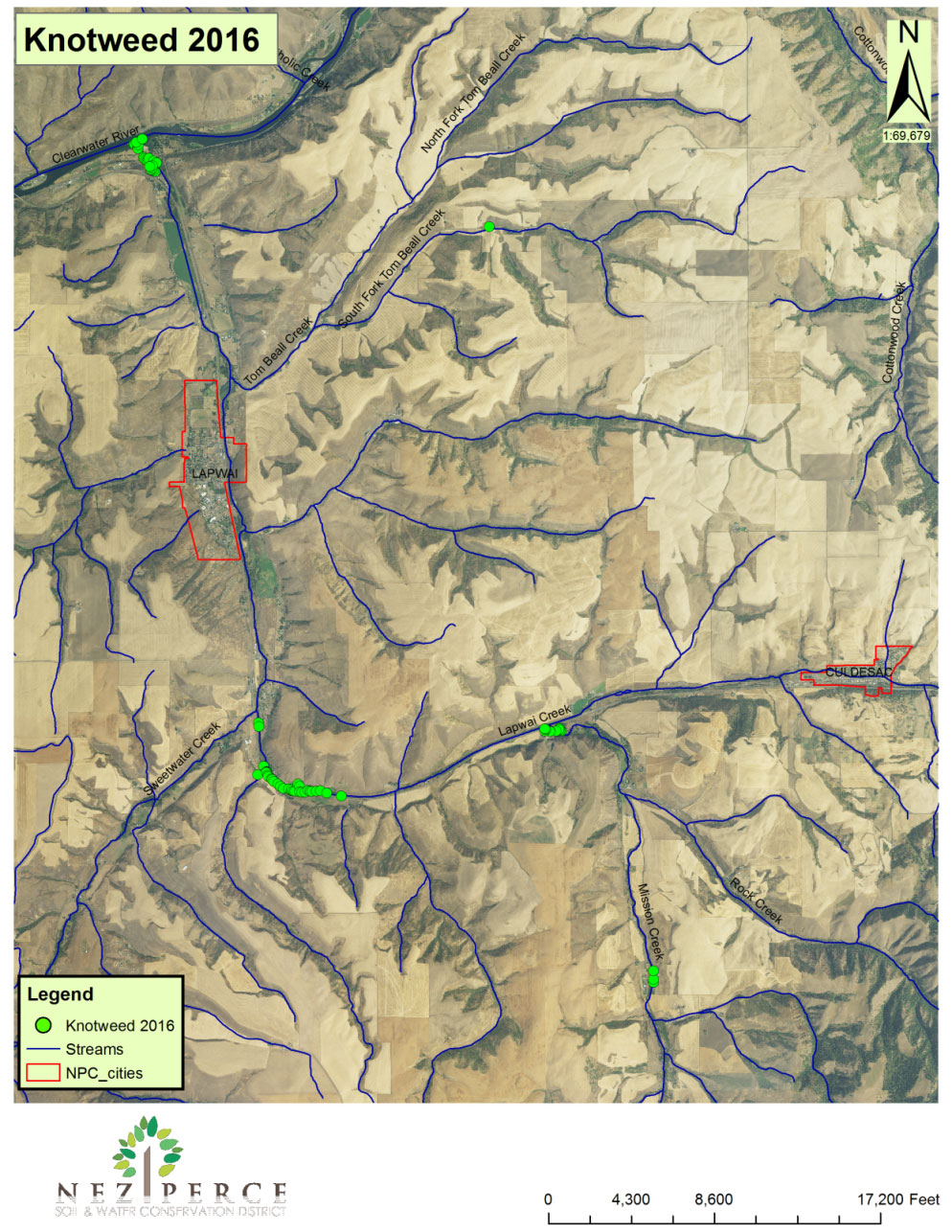 Knotweed Map 2016