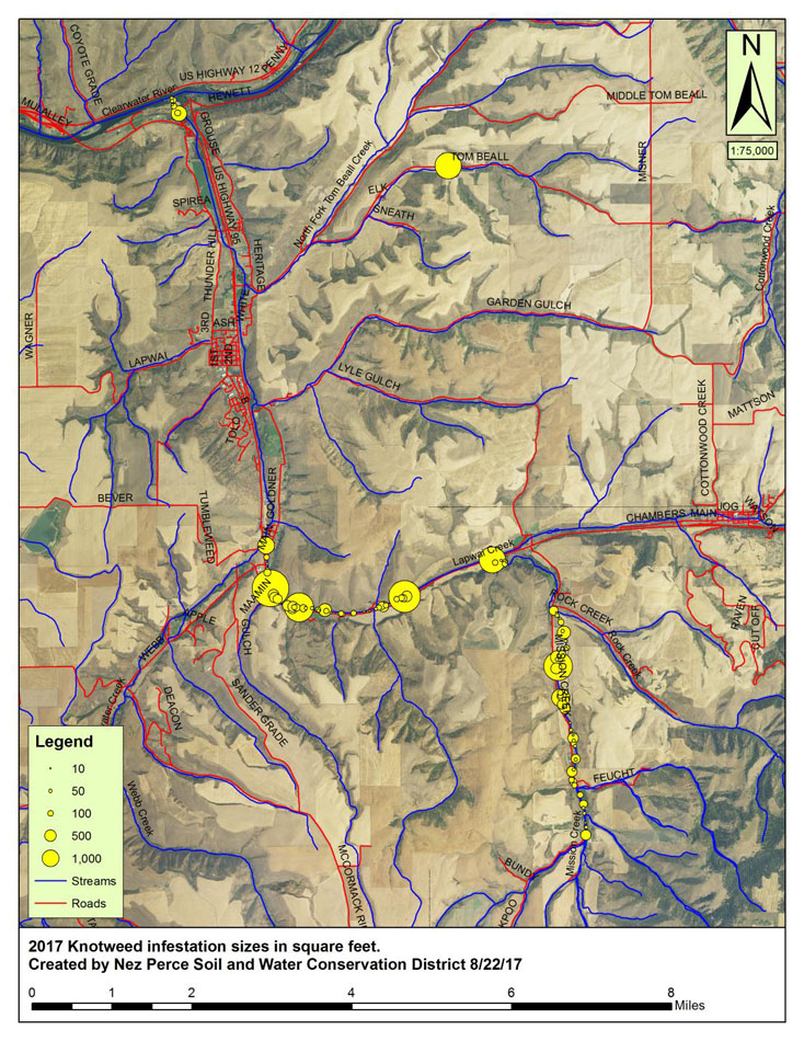 Knotweed Map 2017