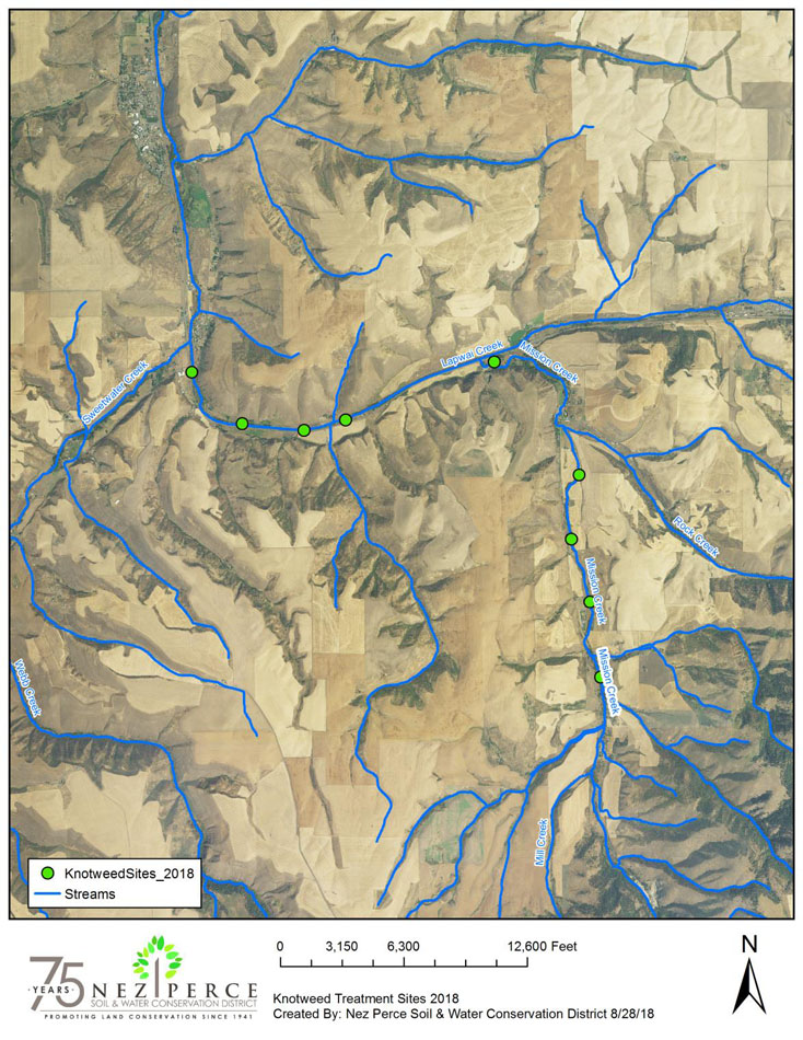 Knotweed Map 2018