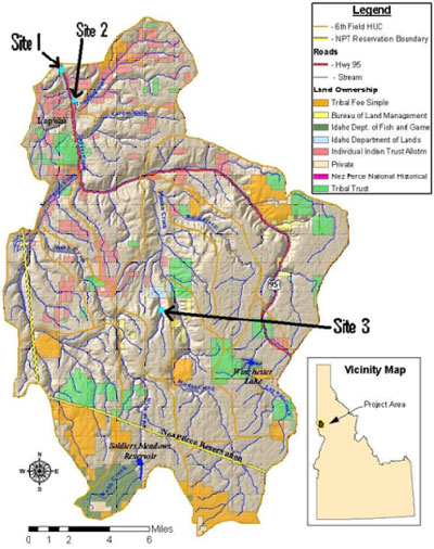 Knotweed map