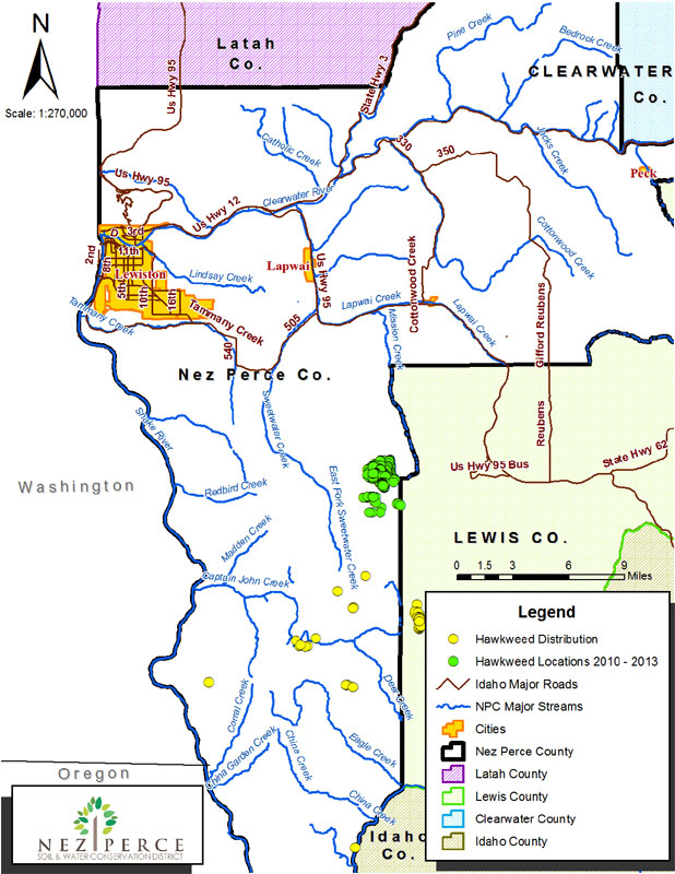 Orange Hawkweed Distribution