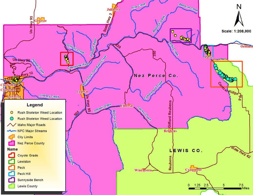 Rush Skeletonweed Infestation Map-Nez Perce County