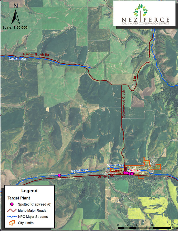 Spotted Knapweed Map