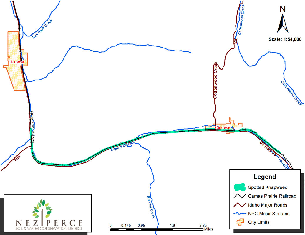 Spotted Knapweed Distribution