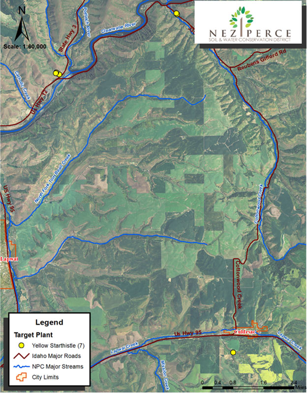 Yellow Star Thistle Target Map