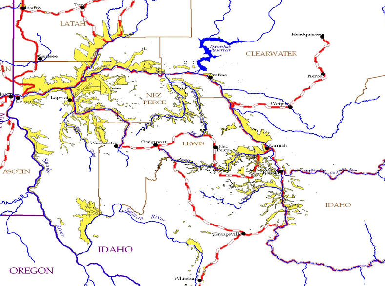 Yellow Star Thistle Map