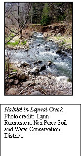 Habitat in Lapwai Creek