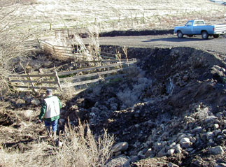 Riparian Stream Area Image 1