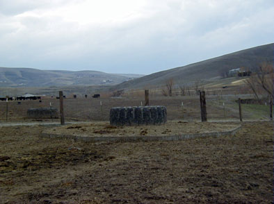 Riparian Water Trough Image