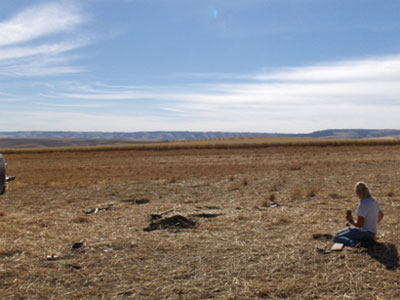 Broadax Conventional Tillage Site