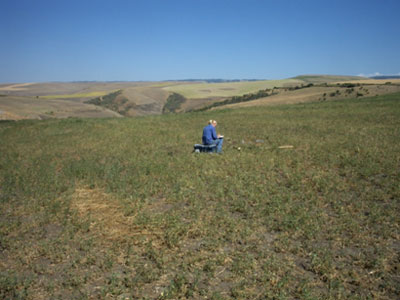 Broadax Permanent Vegetation Site