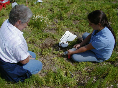 Taney Minimum Tillage Site