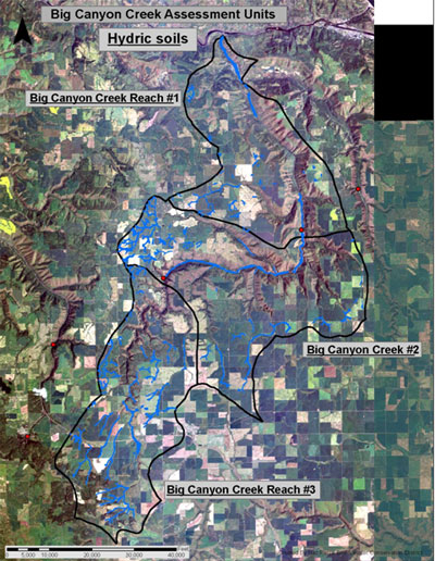 Big Canyon Creek Hydric Soils