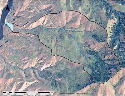 Camp Creek Hydric Soils