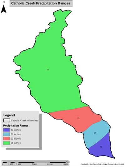 Catholic Creek Precipitation