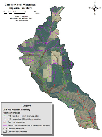 Catholic Creek Riparian Inventory Map