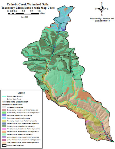 Catholic Creek Soils Map