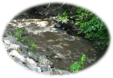 Catholic Creek High Turbidity