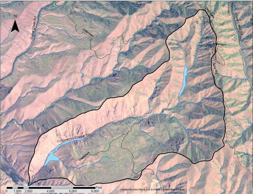 Cave Gulch Hydric Soils