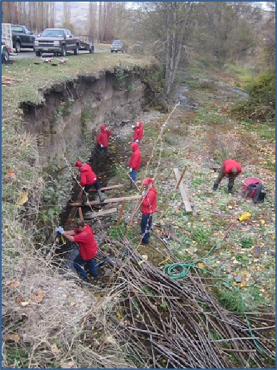 Streambank project 2017