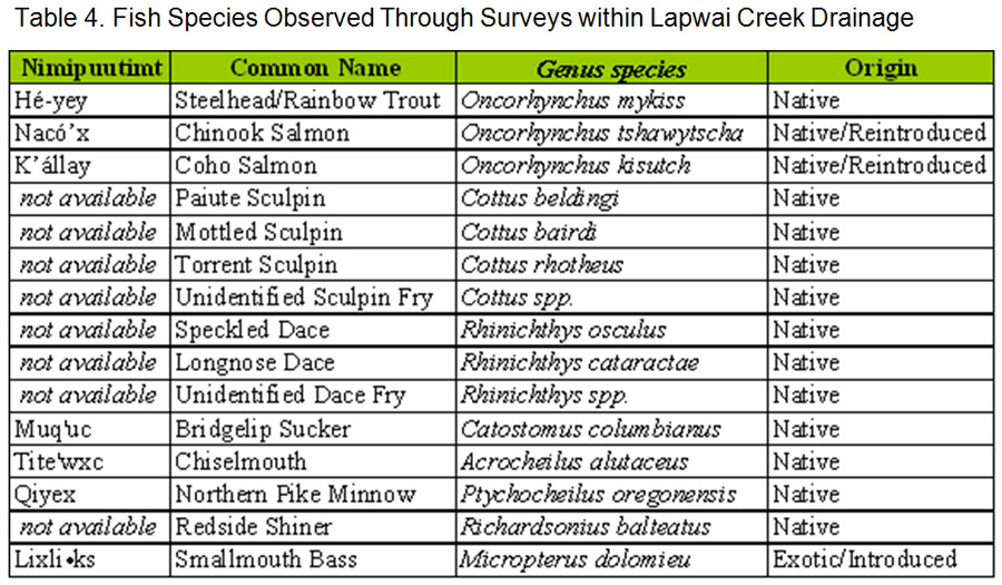 Lapwai Creek fish species