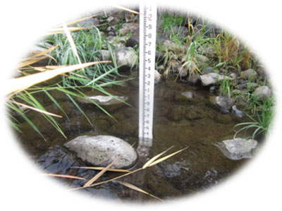 Lapwai Creek Turbidity