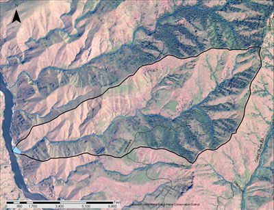 Middle Canyon Hydric Soils