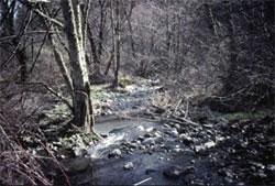 Pine Creek Watershed