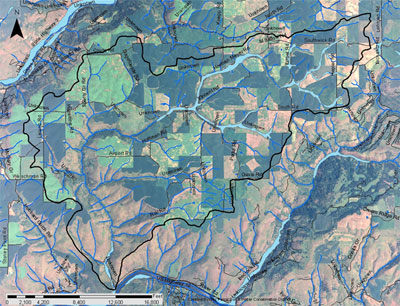 Pine Creek Hydric Soils