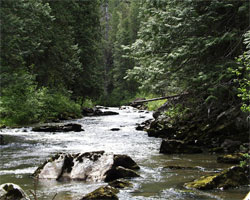 Potlatch River Watershed