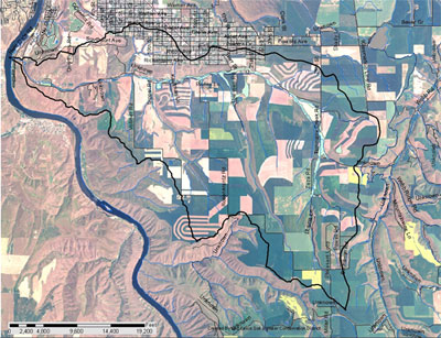 Tammany Creek Hydric Soils