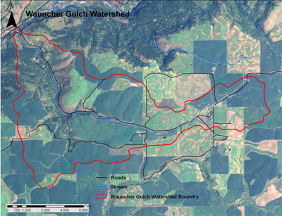 Wauncher Gulch Watershed Location