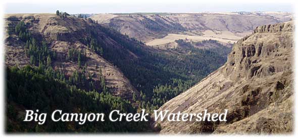 Big Canyon Creek Watershed